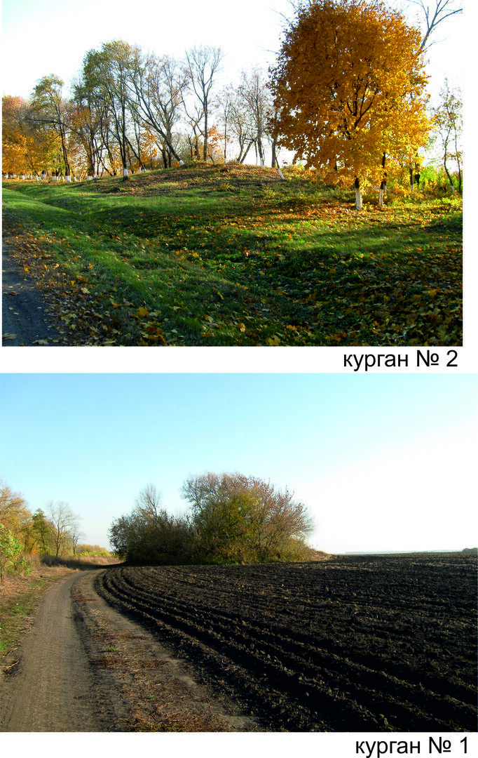Владимировка, могильник курганный-1