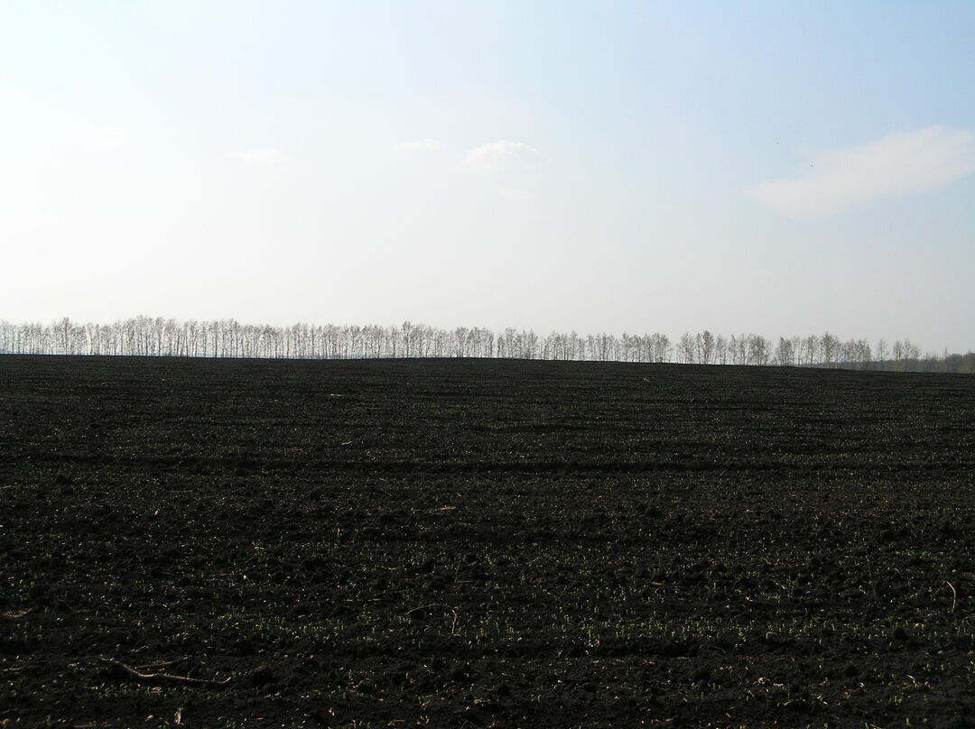 Плоское, могильник курганный-3