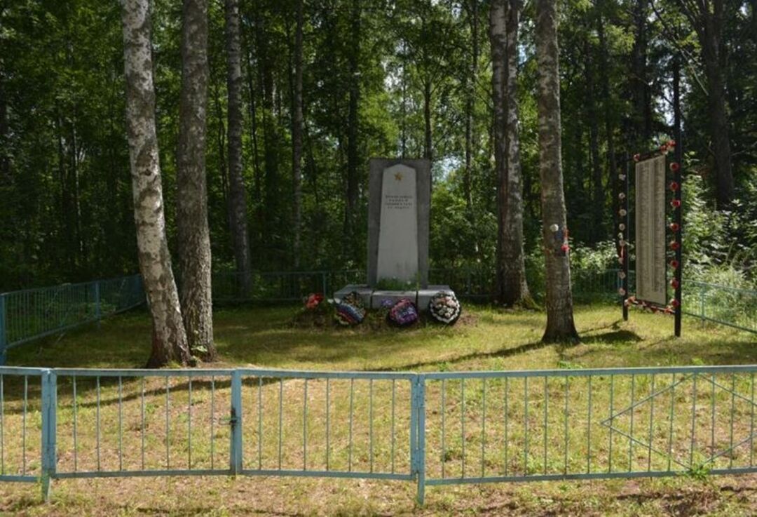 Дер заднего. Братские могилы Демянского района Новгородской области. Деревня задняя Новгородская область. Новгородская обл Демянский район. Монаково Демянского р-на Новгородской области.