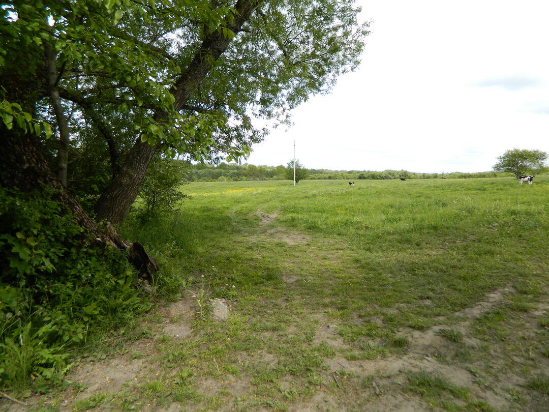 Славское, городище-2