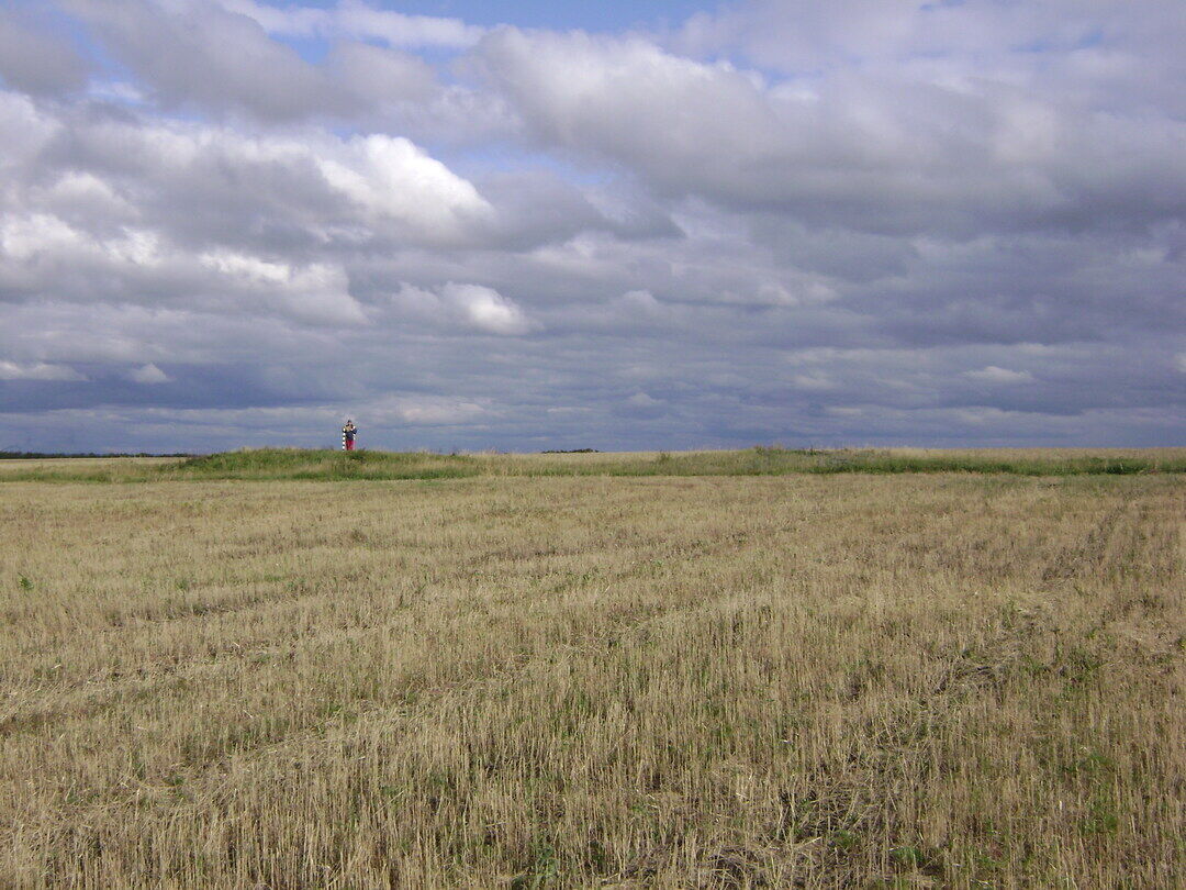 Погода село камышино