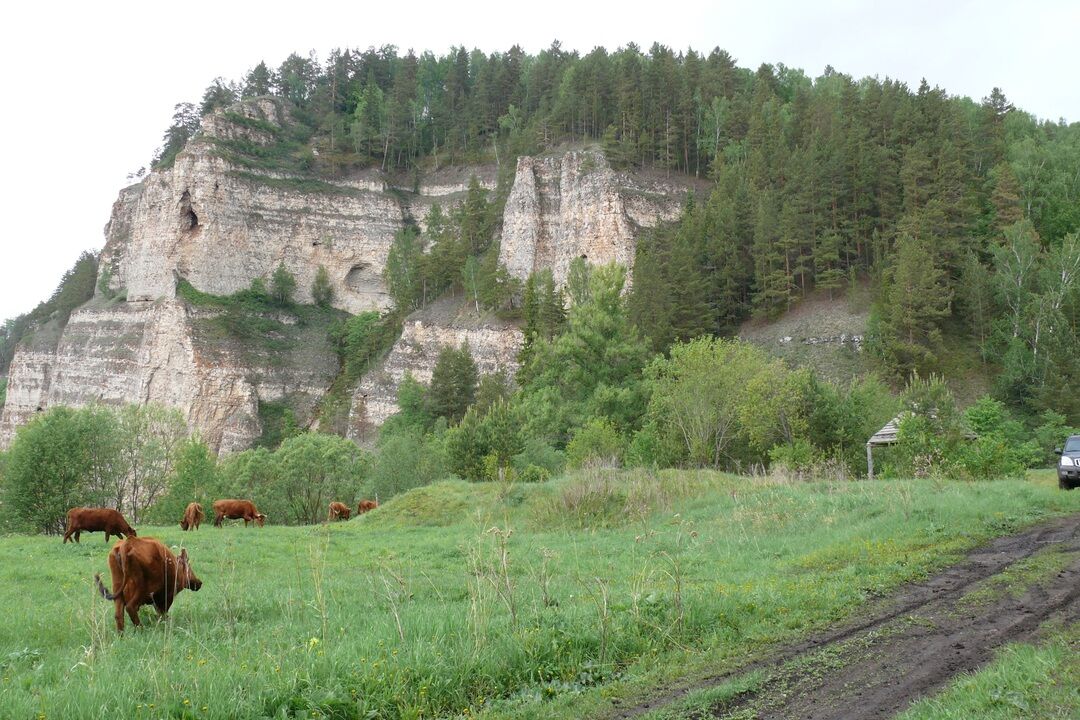 Салаватский район картинки