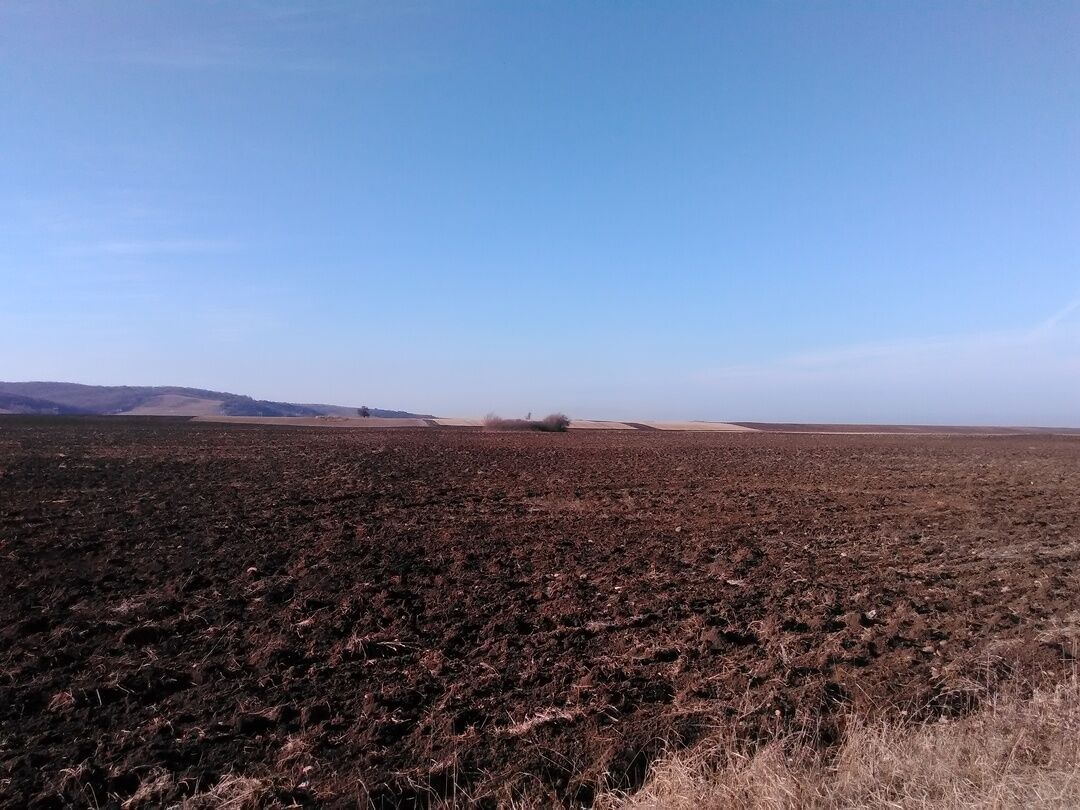 Девяносто курганов