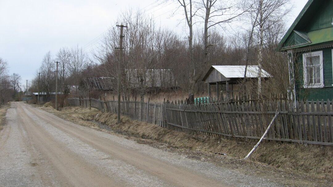 Курганная группа, 5 насыпей