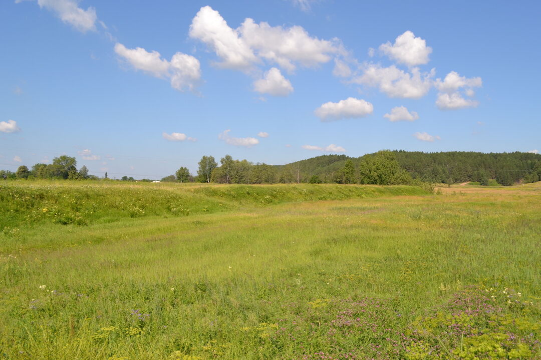 Село березово