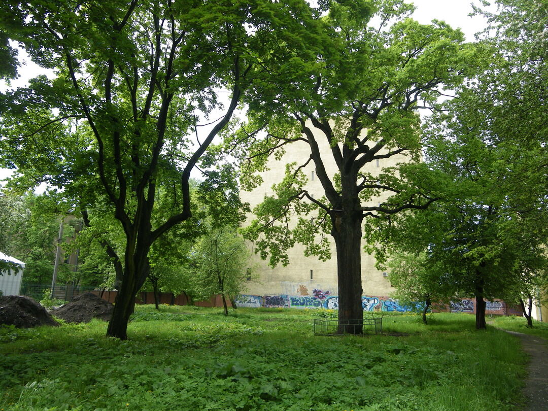 Сад, г. Санкт-Петербург, набережная реки Мойки, дом 108, литера А