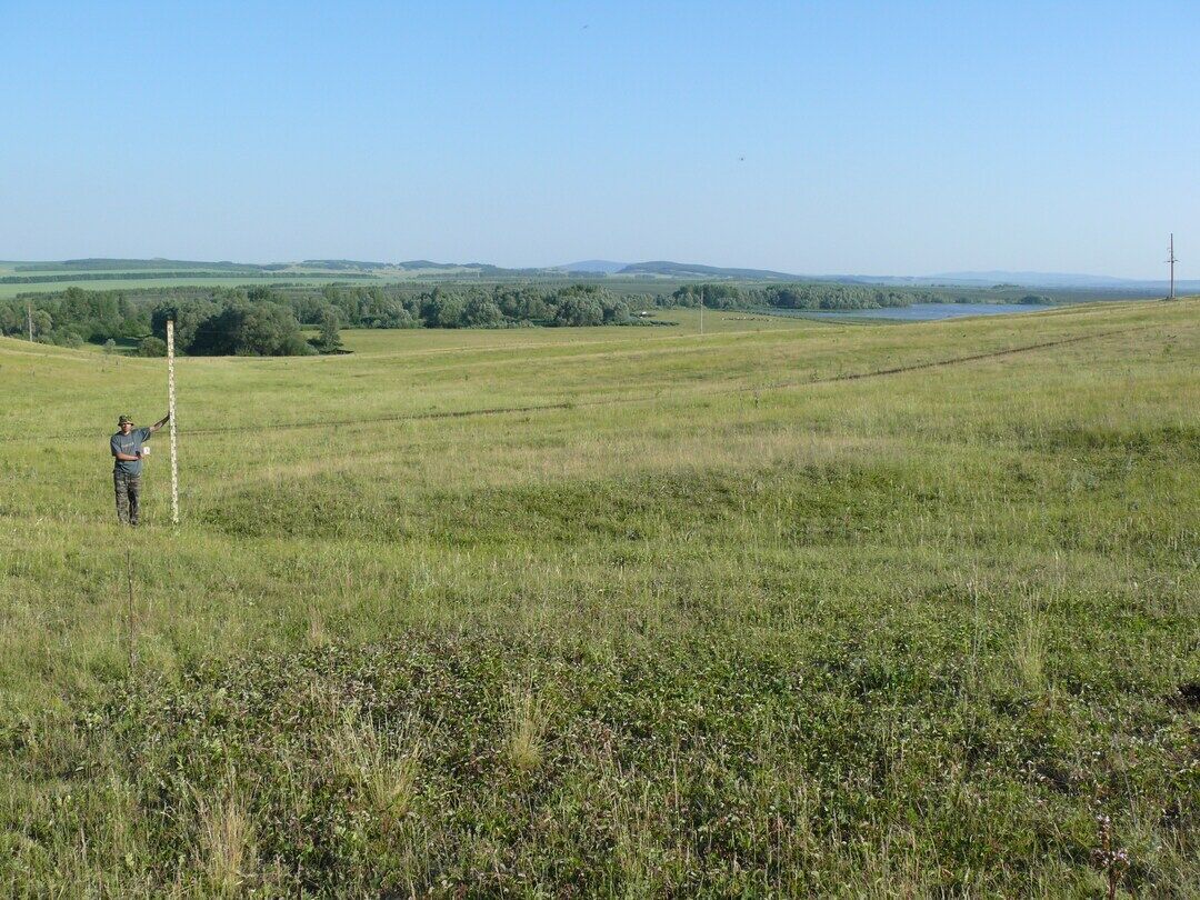 Мелеузовский район фото