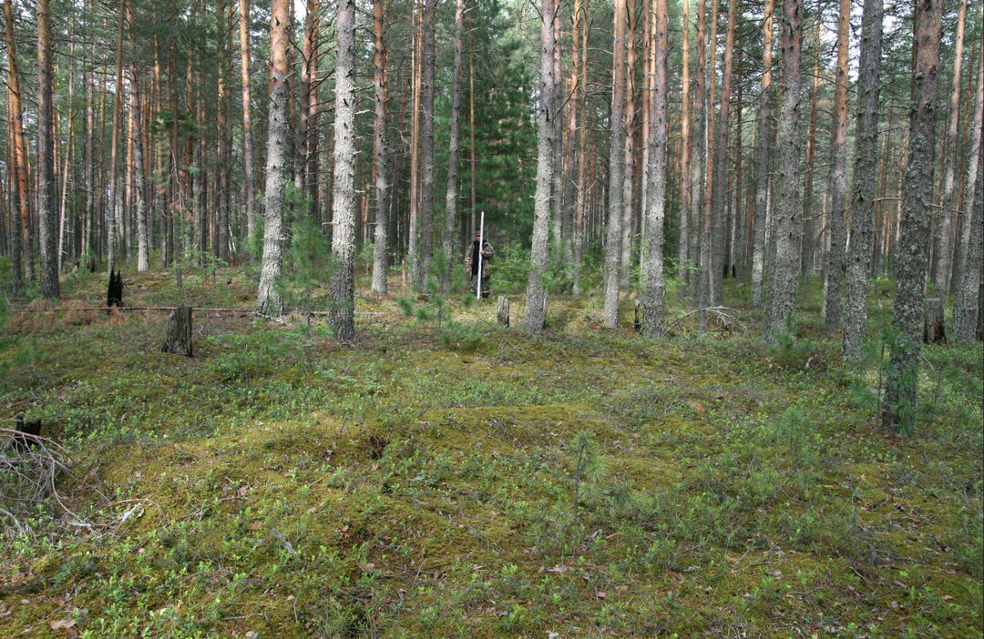 Согом ханты мансийский район фото