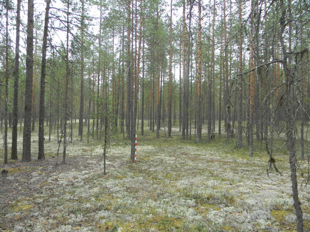 Могильник "Отлинский-2", XII-XIV вв. н.э.
