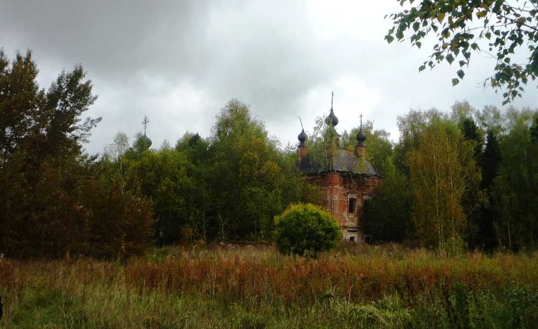 Ансамбль