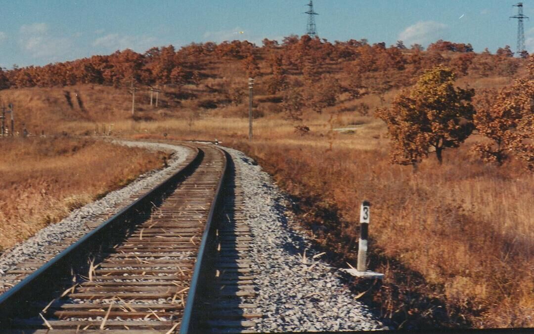 Зайсановка-3. Поселение