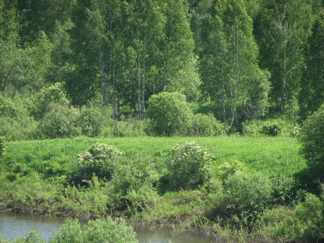 Тисульский Район Фото