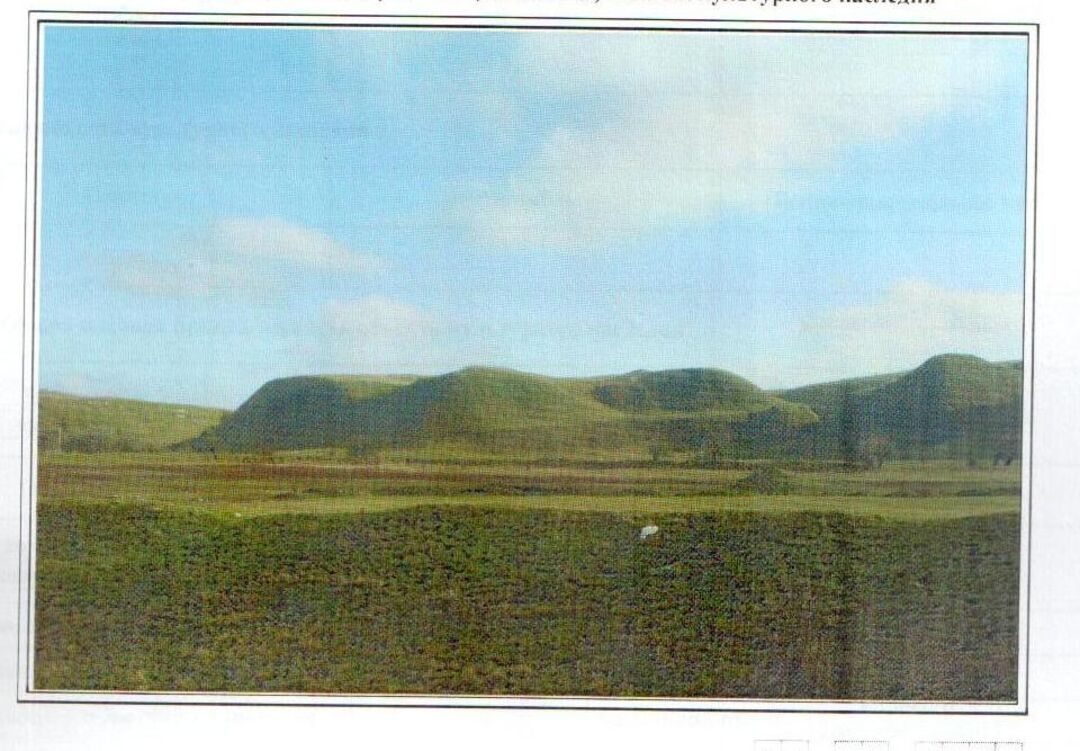 Городище "Кубинское-II"