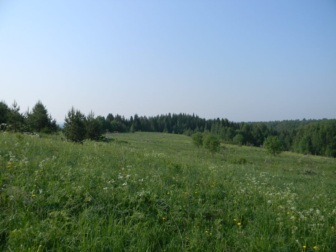 Городище "Карыбйывское"