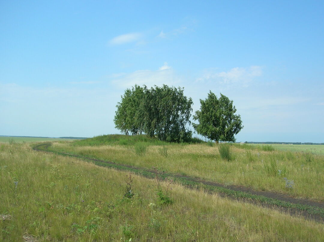 Курганская обл макушинский