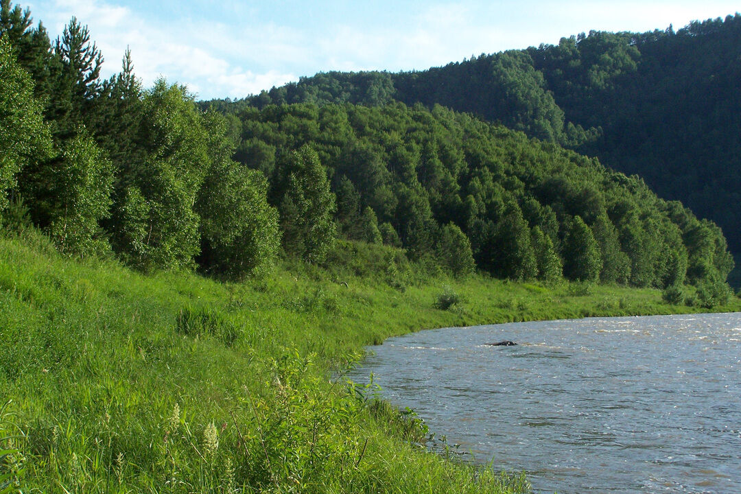 Алтайский край село смоленское фото