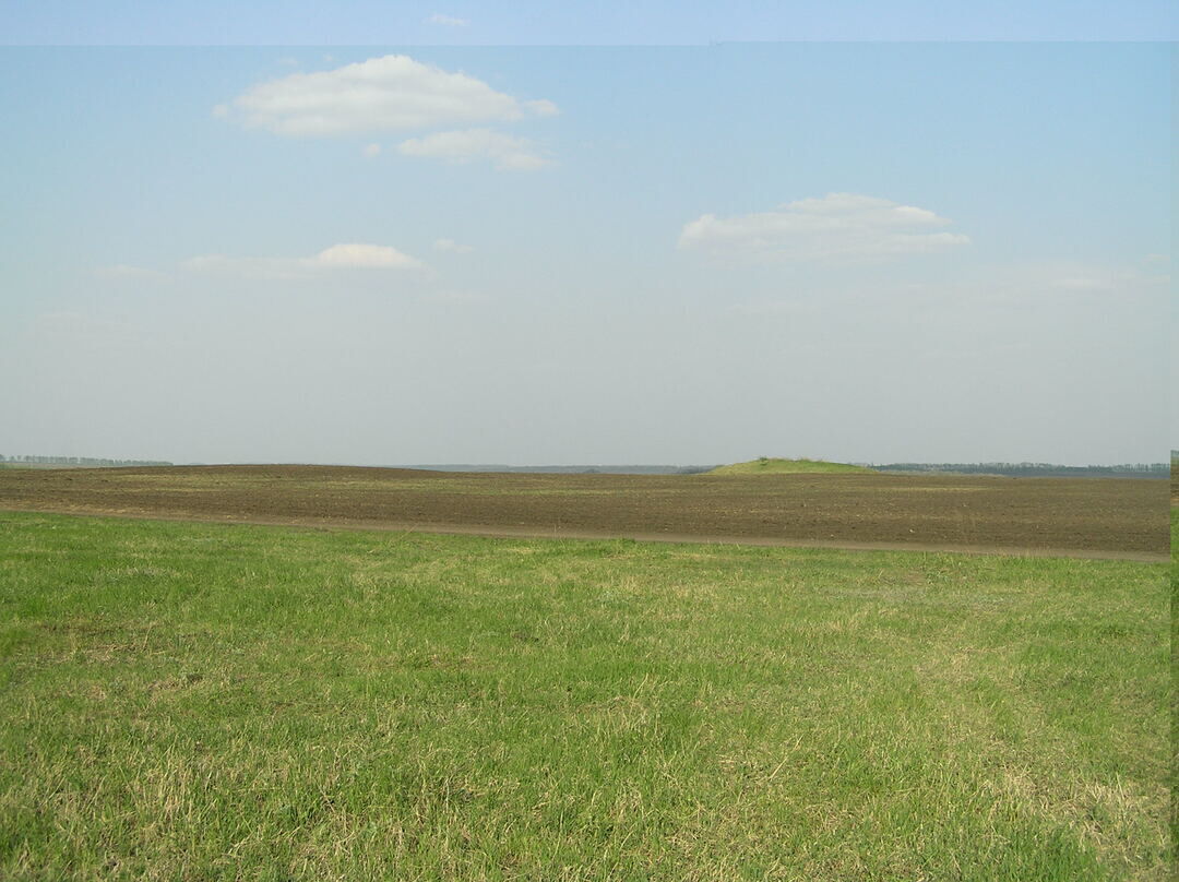 Волоконовка, могильник курганный-1