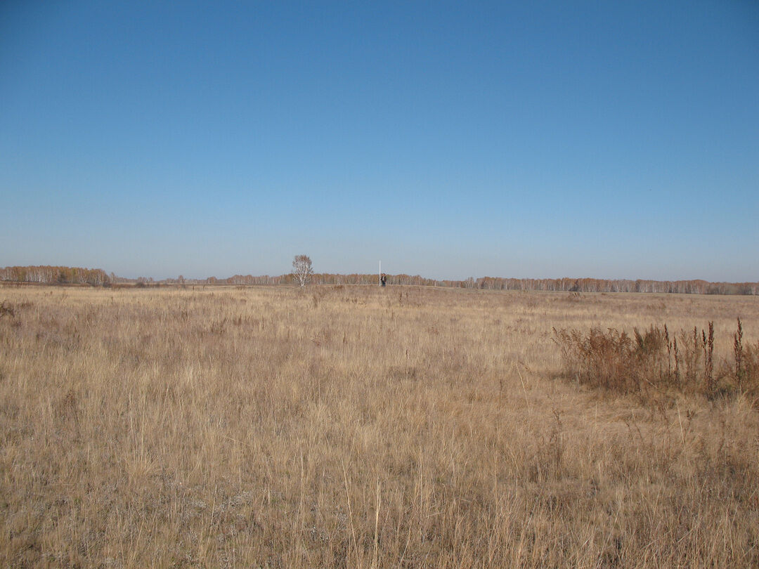 Солоновка алтайский край фото