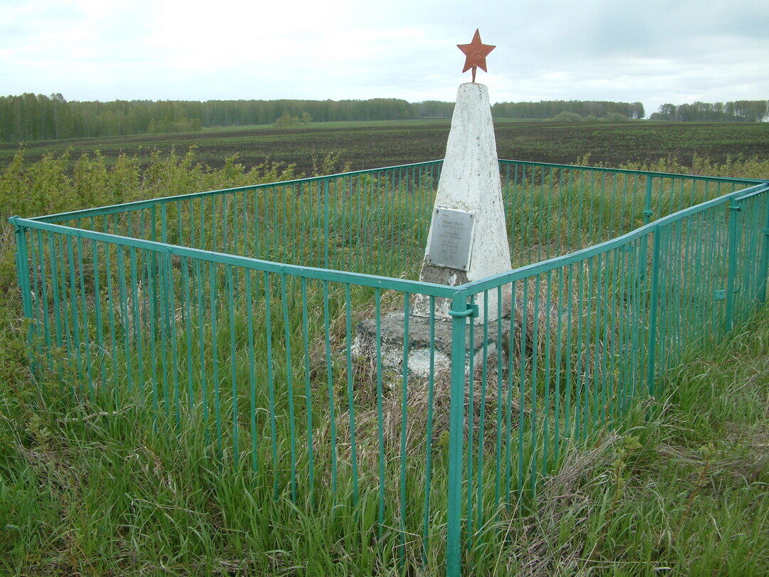 фото тогучинского района