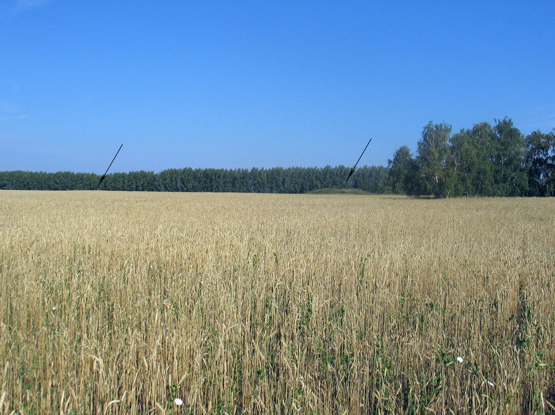 Юргамыш курганская область