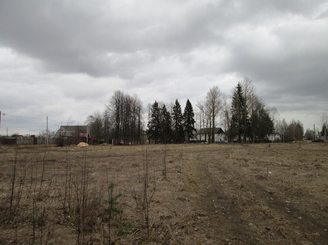 Усадьба Толкачева. Парк