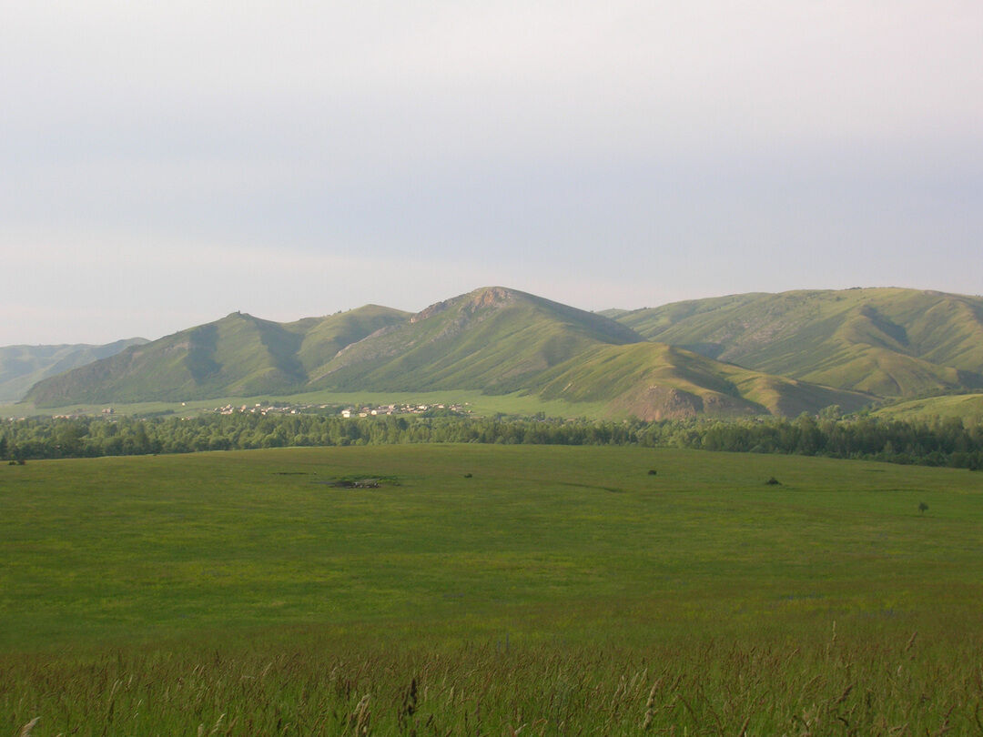 Чинета алтайский край. Село Чинета Алтайский край. Ханхаринский дол Курганный могильник.