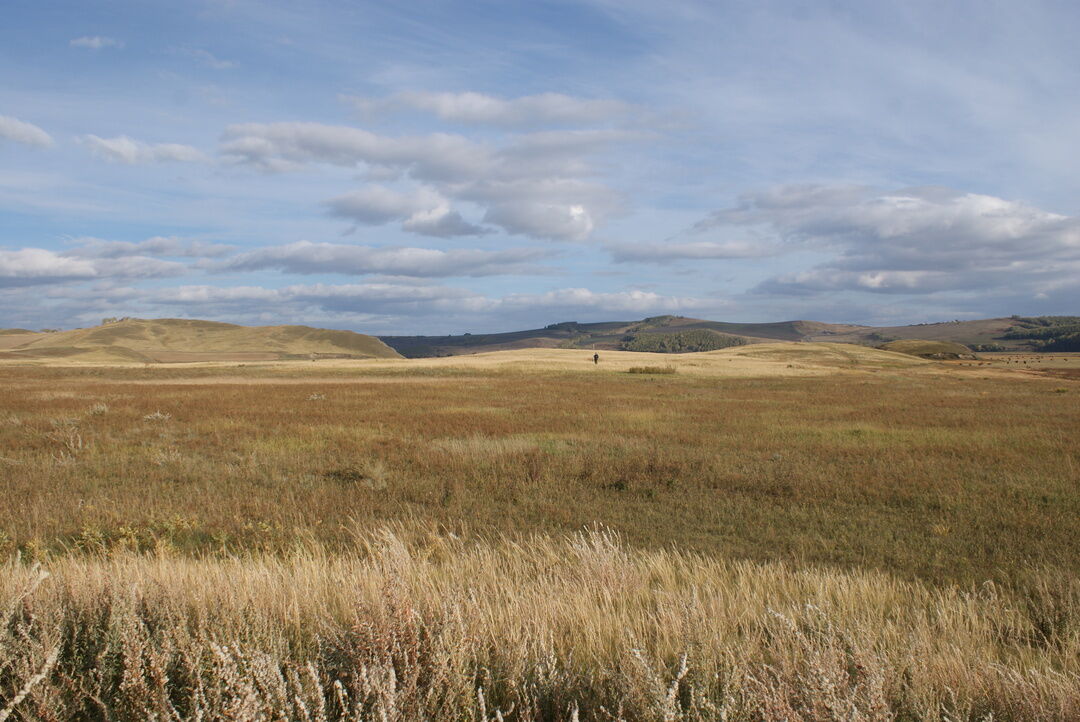 Село лебяжье краснотуранский район фото