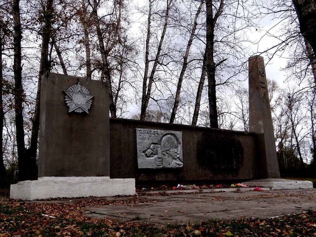 Памятник односельчанам, погибшим в годы Великой Отечественной войны,  Амурская область, Михайловский район, село Зеленый Бор, в парке