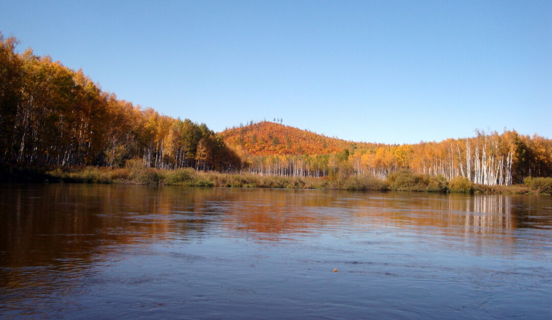 Село кондон фото