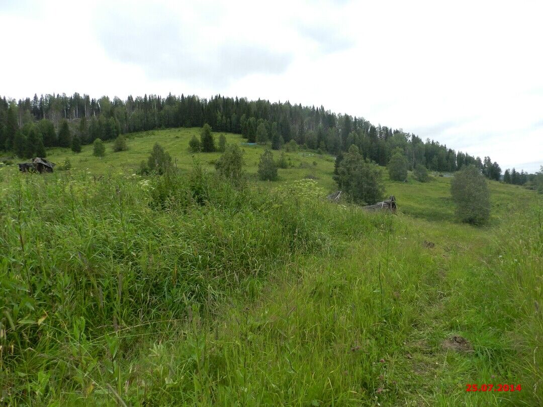 Поселок вая красновишерский район фото