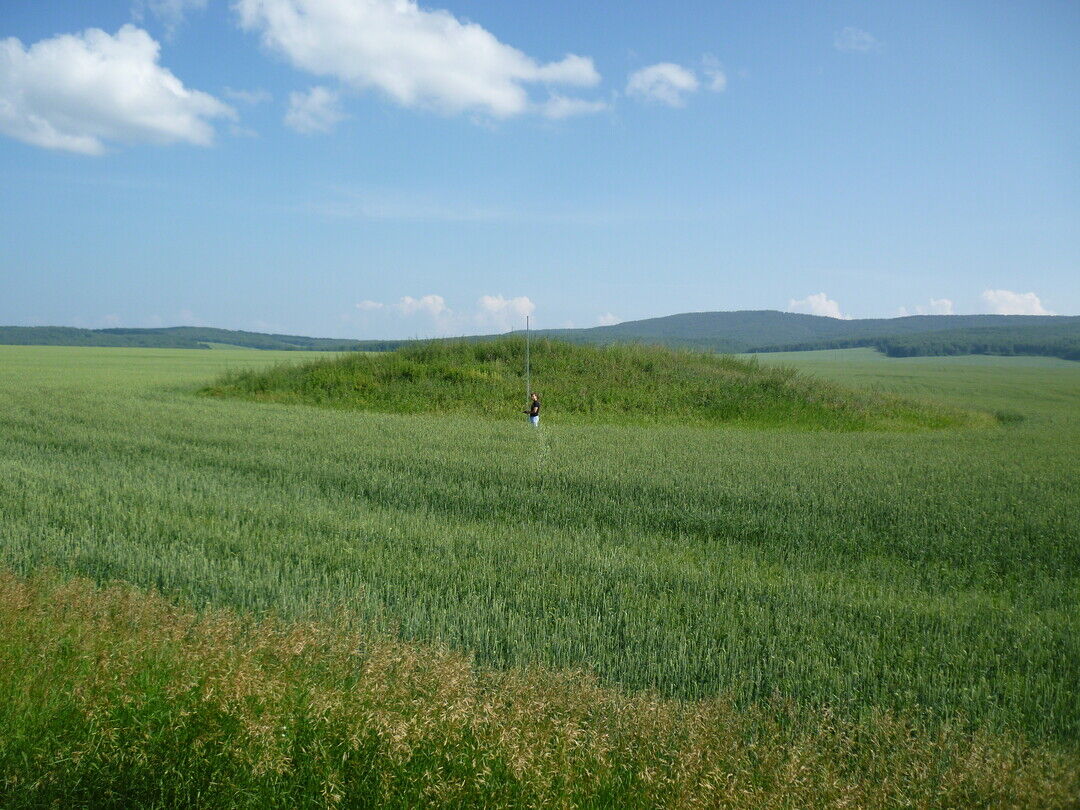 Село кома. Курганы Новоселовский район. Красноярский край Новосëловский район деревня Курганы. Красноярский край поселок Курганы Новоселовский район. Деревня Курганы Новоселовский район.