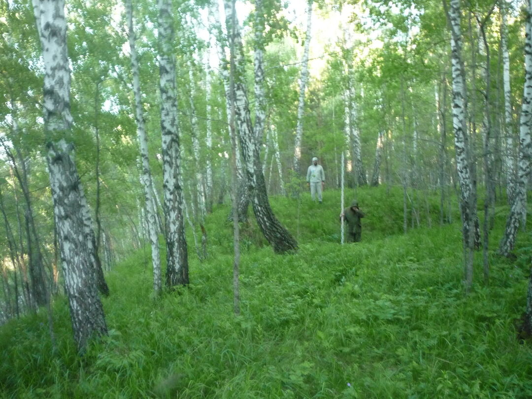 Сеткуловка муромцевского района омской области фото