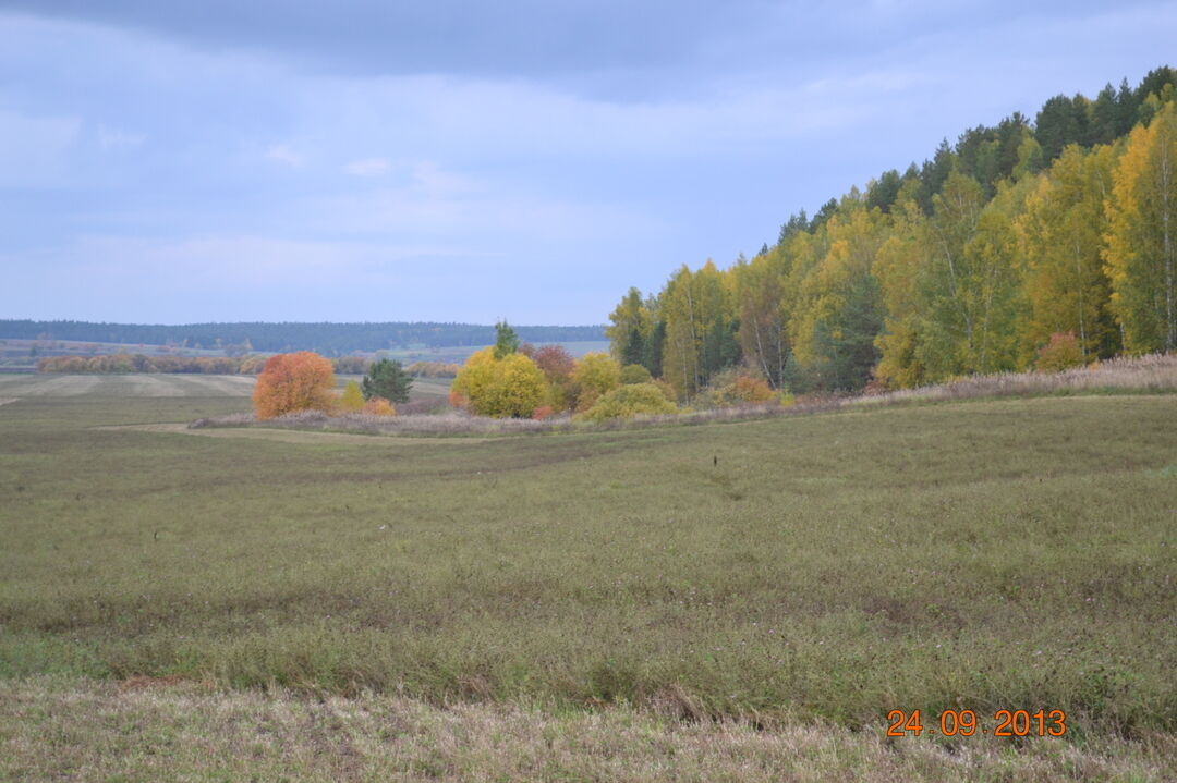 Мебель с троицкое алтайский край