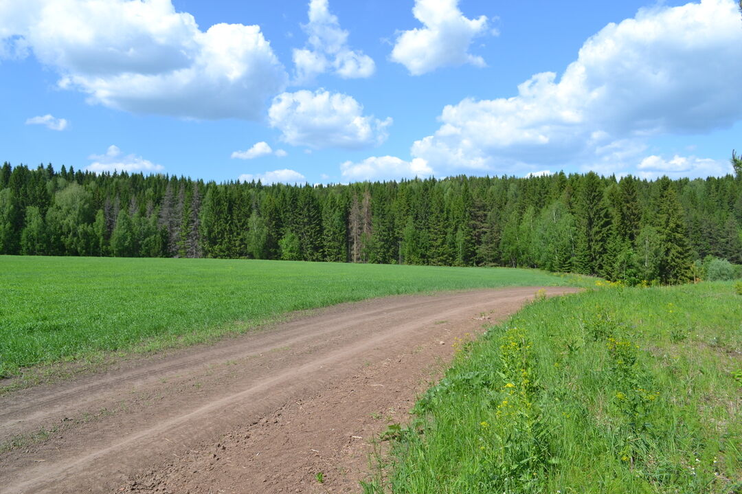 Частинский пермский край