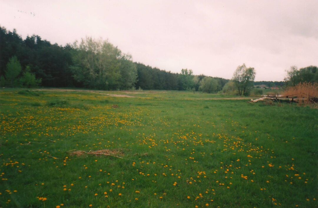 Село роговатое старооскольского района белгородской области карта