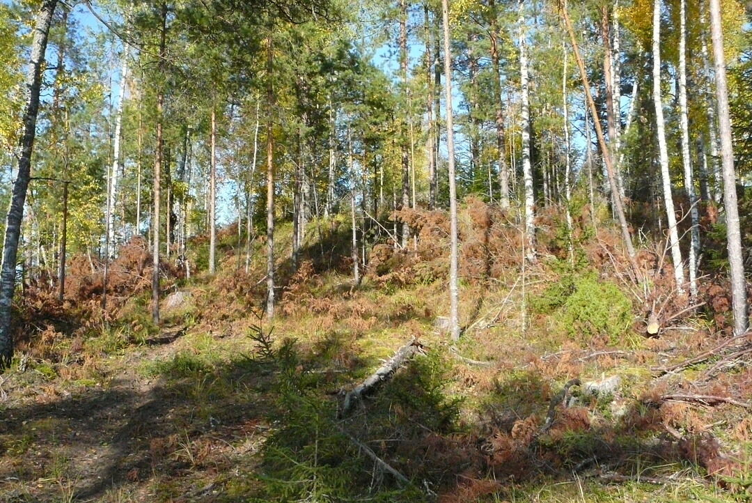 Малышево тверская область максатихинский район фото