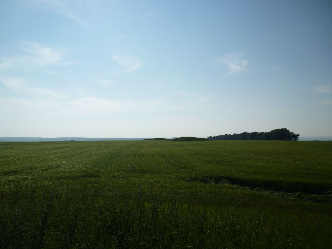 Курганская 5. Шихинская Курганная группа. Курганная группа Лащинский. Деревня Курганы Новоселовский район. Акатовские Курганы.