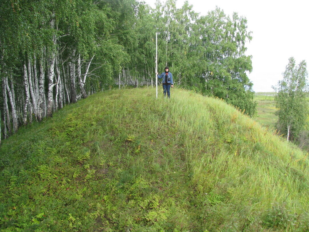 Индекс д гора. Городище Чудская гора. Чудская гора Омская область Знаменский район. Чудская гора с Знаменское. Чудская гора Сланцевский район.