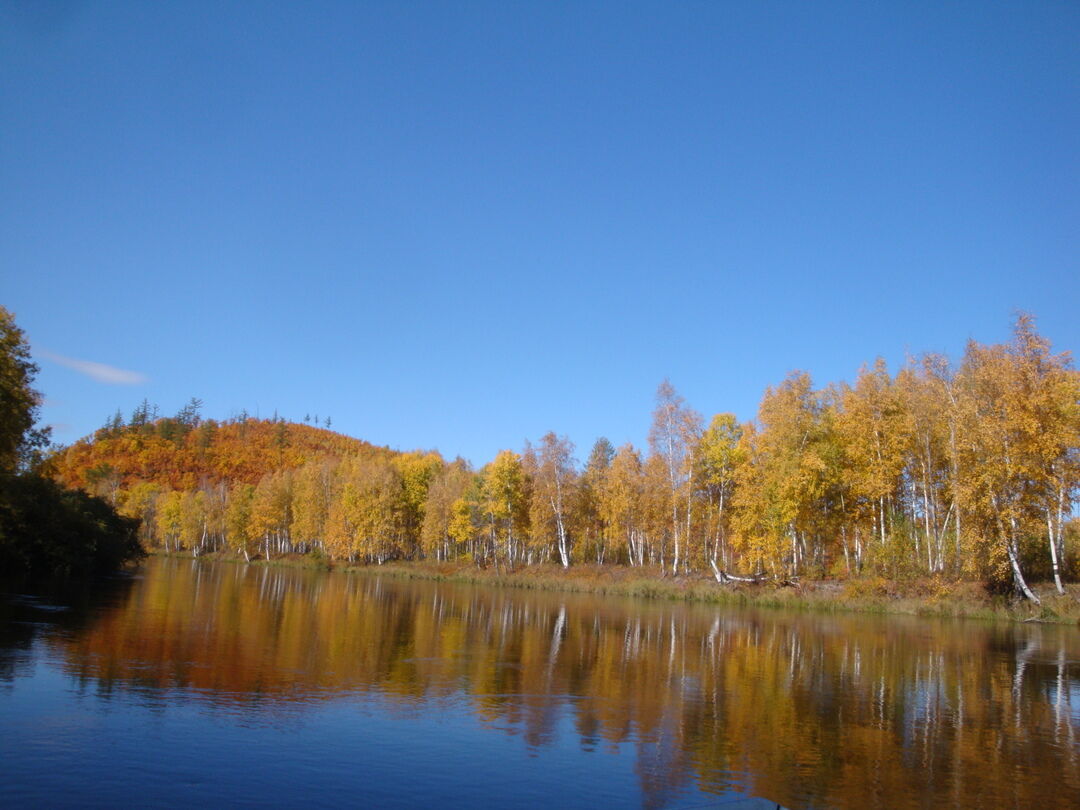 Село кондон фото