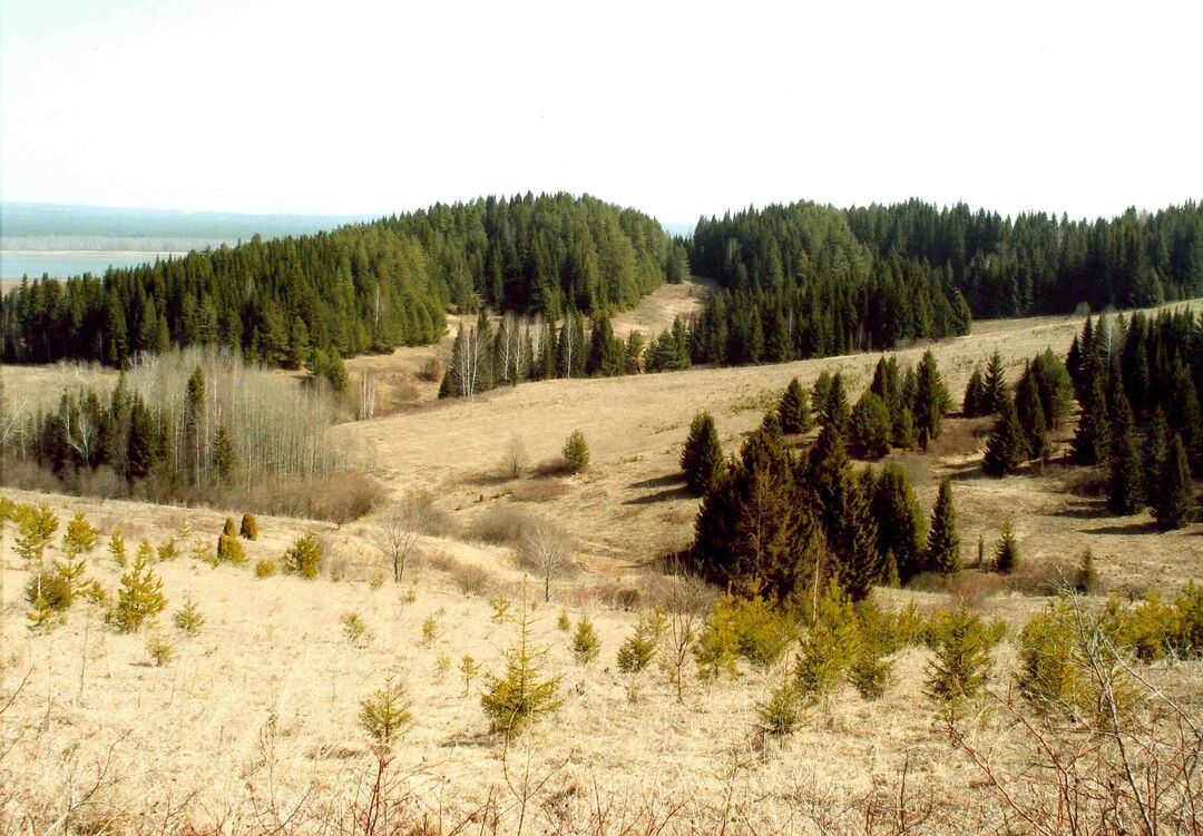 Поселения пермский край. Деревня Першино Пермский край.