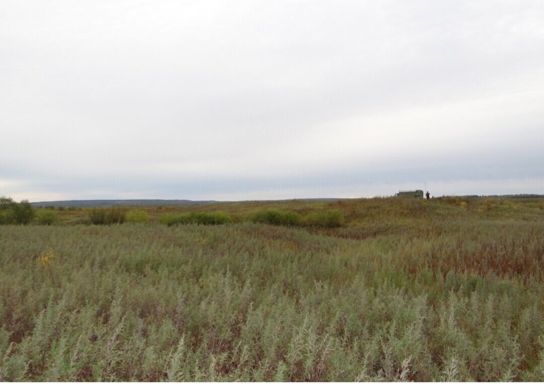 Село сергеевка. Сергеевка Амурская область. Сергеевка Амурская область Благовещенский район. Село Сергеевка Благовещенского района. Курская область село Сергеевка.