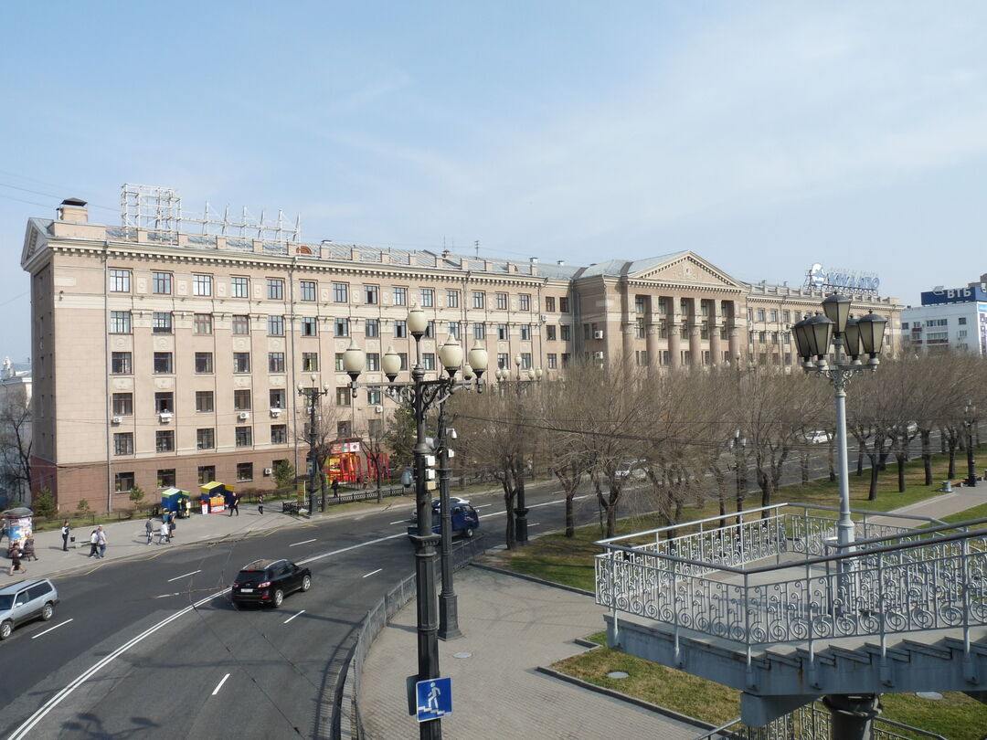 Фото муравьева амурского хабаровск