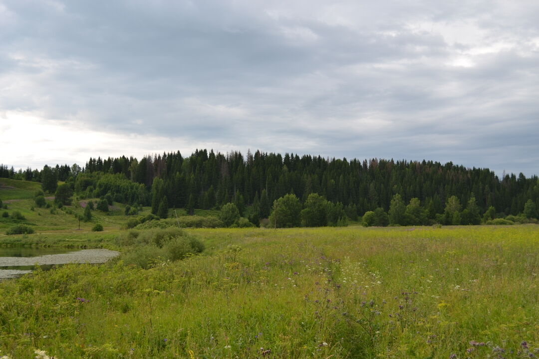 Кинделино кунгурский район фото