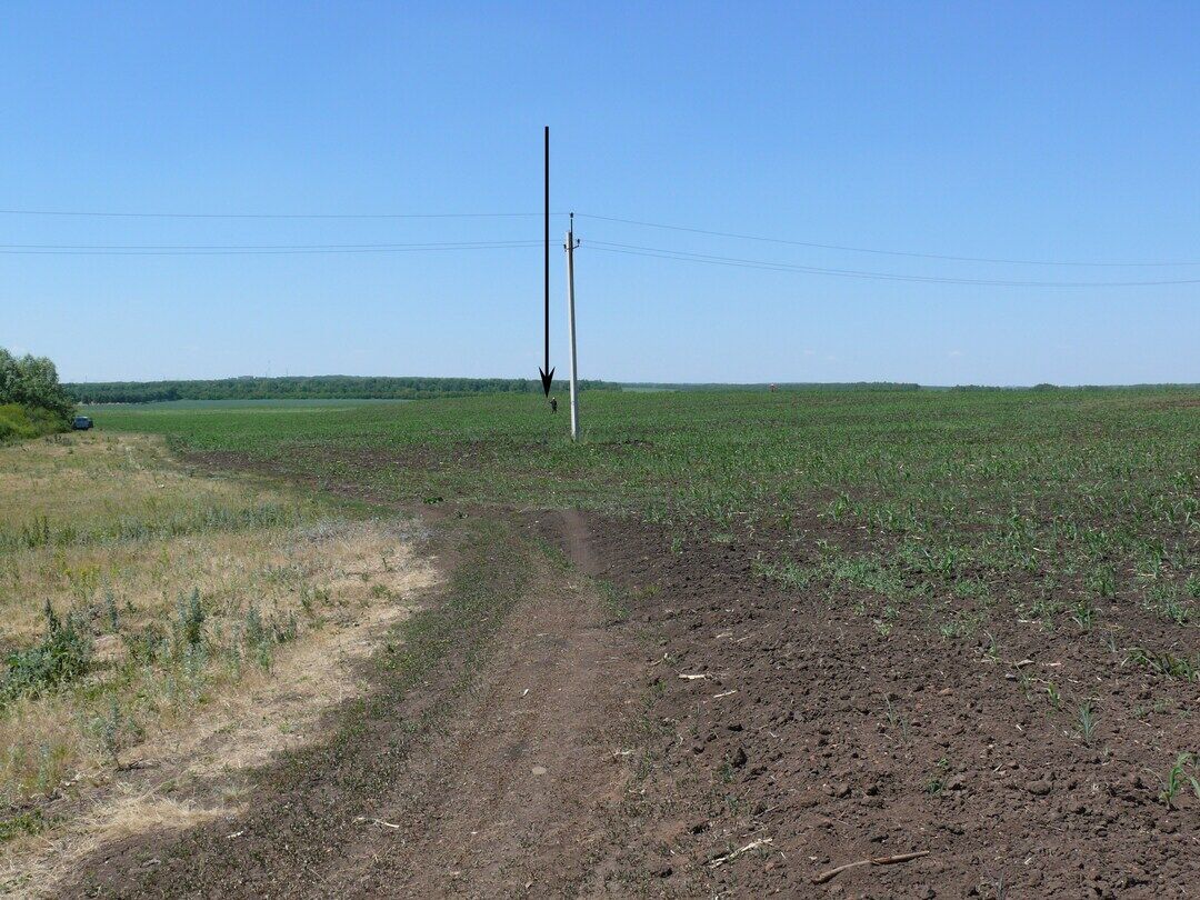 Васильевские курганы