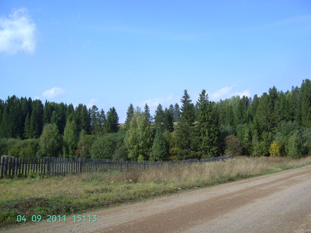 Погода городище пермский край