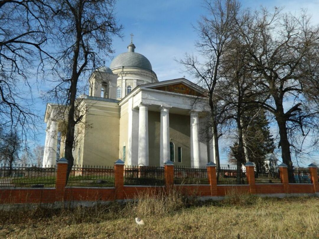 Плесень серебряные пруды