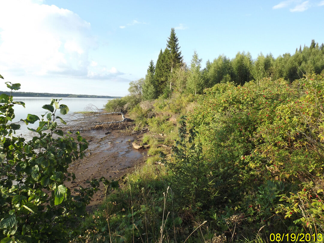 Заозерье богородский район фото