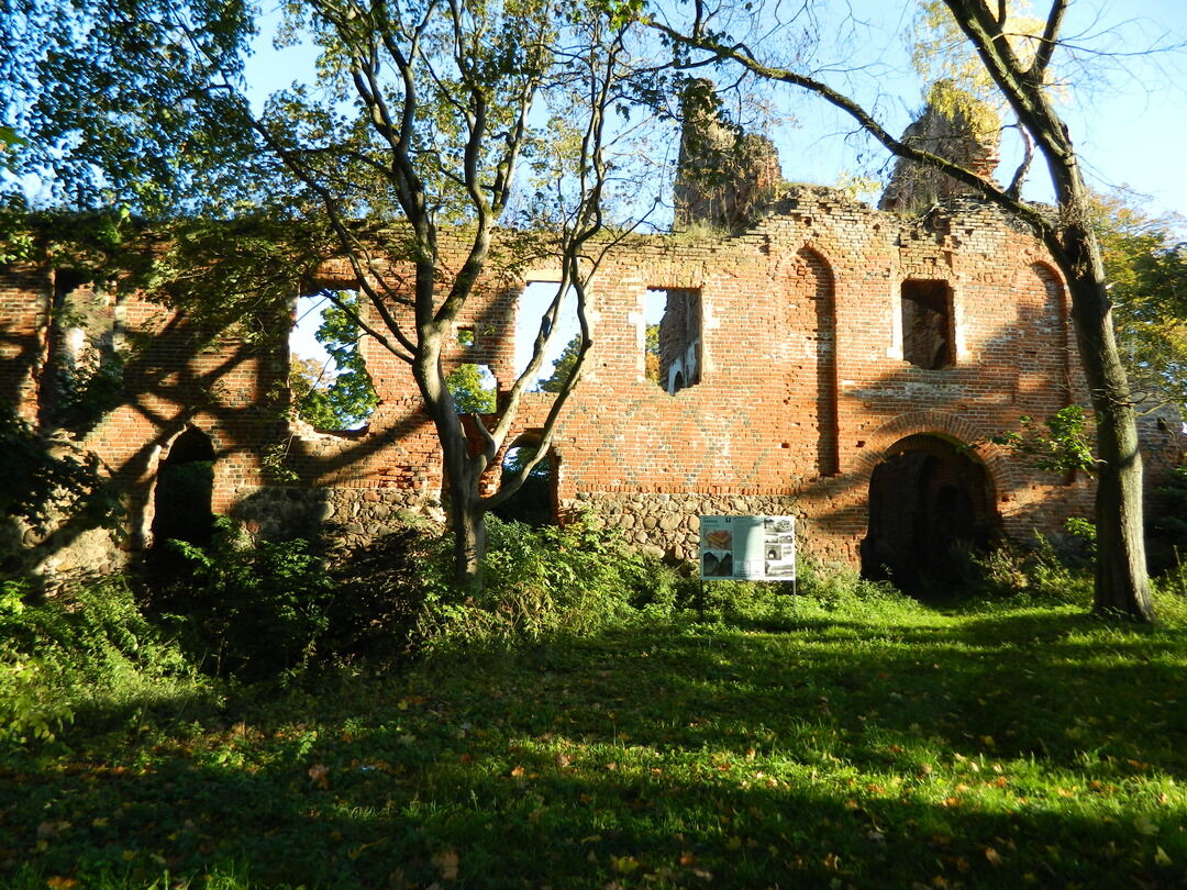 Руины замка "Заалау" 