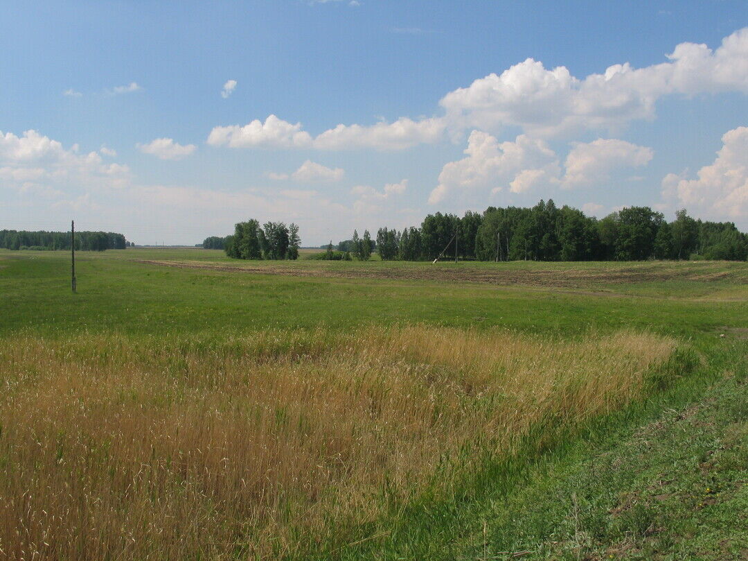 Карта сафакулевского района