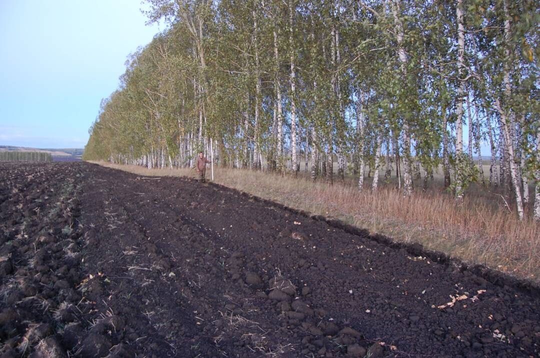 Ново-Дюмеевские курганы